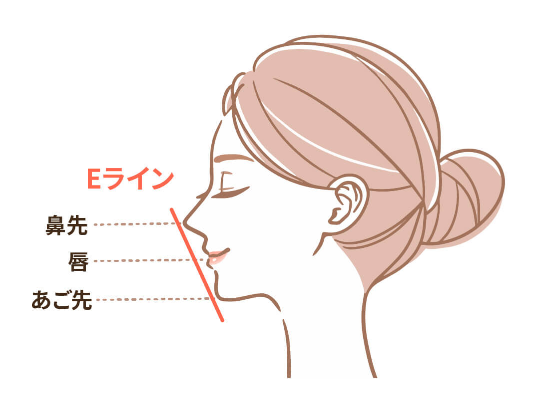 矯正治療で整える基準となる、鼻先からあご先にかけてのEラインの解説イラスト